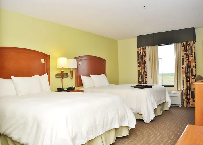 Hotel Hampton 3*
